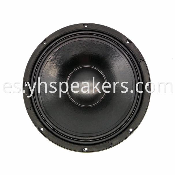 Neodymium 12 inch Professional Woofer Audio Speaker